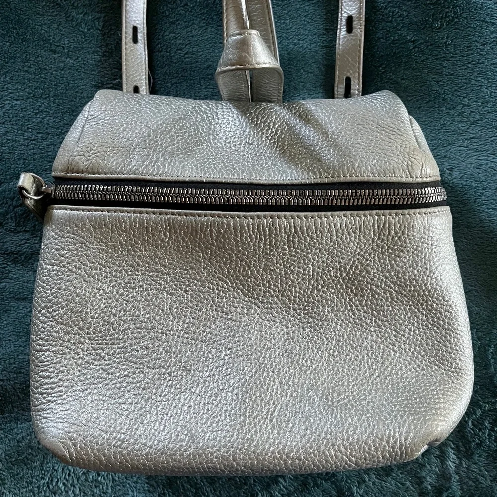 Kara Backpack  Rich Warm Silver Tone   Minimalist Utilitarian Vibe